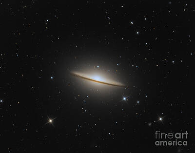 Bruce Springsteen - The Sombrero Galaxy by Michael Miller