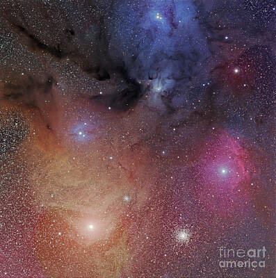 On Trend Breakfast Royalty Free Images - The Starforming Region Of Rho Ophiuchus Royalty-Free Image by Phillip Jones