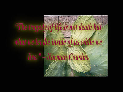 Meiklejohn Graphics - The Tragedy of Life is Not Death But What We Let Die Inside of U by Tamara Kulish
