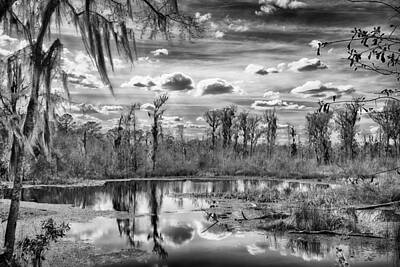 Abstract Skyline Photos - The Wetlands by Howard Salmon