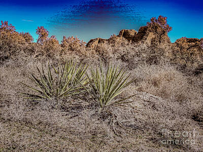 Neutrality - Three Serene Yucca at the Aztec Ruins by Brenda Landdeck