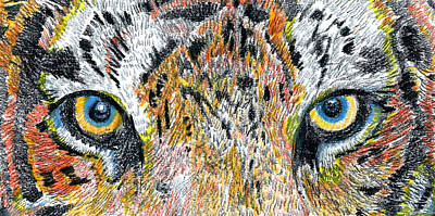 Animals Drawings - Tiger by Matt Lovins by David Lovins
