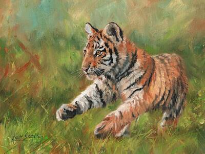Animals Paintings - Tiger Cub Running by David Stribbling