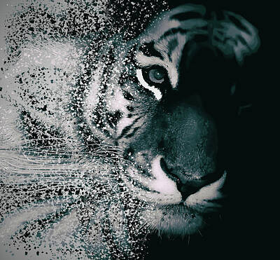 Animals Photos - Tiger Dispersion by Martin Newman