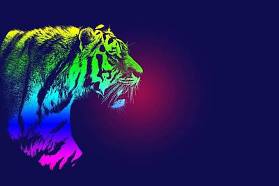 Animals Painting Royalty Free Images - Tiger Poster Royalty-Free Image by Celestial Images