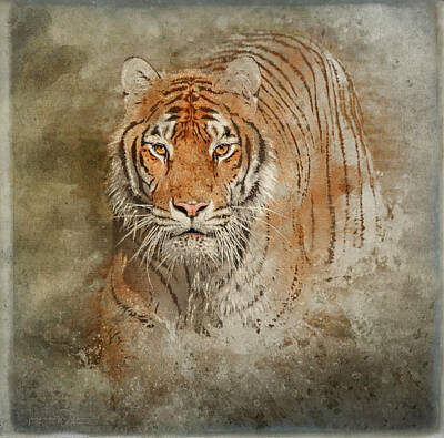 Mammals Mixed Media - Tiger Splash by Teresa Wilson