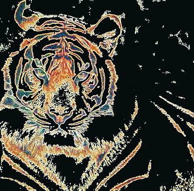 Animals Digital Art - Tiger Tiger by Stephanie Grant