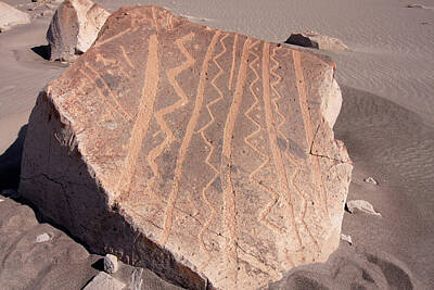 Staff Picks Rosemary Obrien - Toro Muerto Petroglyph 17 by Aidan Moran
