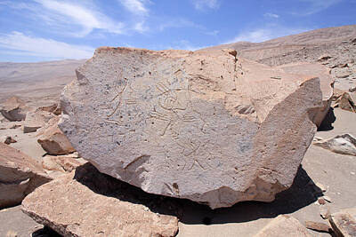 Dancing Rights Managed Images - Toro Muerto Petroglyph 32 Royalty-Free Image by Aidan Moran