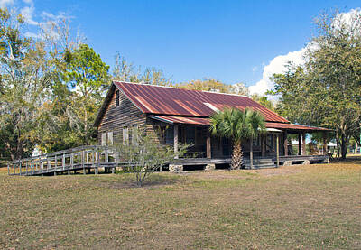 Lets Be Frank - Tosohatchee Cattle Ranch In Central Florida by Allan  Hughes