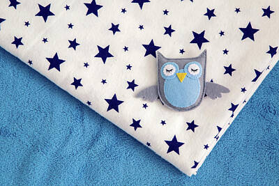 Ballerina Art - Toy Owl Rests On A Childs Diaper by Elena Saulich