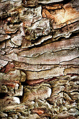 Signs For The Modern Restaurant - Tree Bark Abstract by Onyonet Photo studios