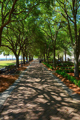 City Scenes - Tree Lined Path by Debra Martz