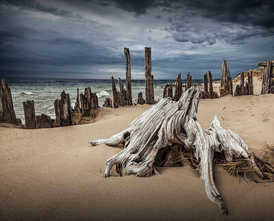 Randall Nyhof Royalty-Free and Rights-Managed Images - Tree Stump and Pilings on the Beach by Randall Nyhof