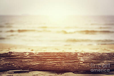 Beach Royalty-Free and Rights-Managed Images - Tree trunk lying on the beach. Ocean background, sun shining. by Michal Bednarek