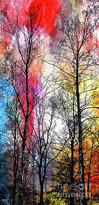 Kids Alphabet - Trees in Color by Daniel Janda