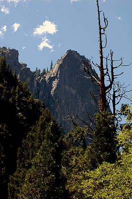 Cowboy - Trees view of Mountains of Yosemite by LeeAnn McLaneGoetz McLaneGoetzStudioLLCcom