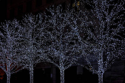 Interior Designers Rights Managed Images - Trees with Lights Royalty-Free Image by Robert Ullmann