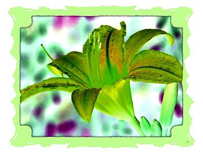 Lilies Digital Art - Tropical Lily 1 by Will Borden