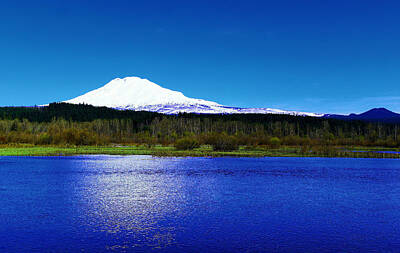 Birds Royalty-Free and Rights-Managed Images - Trout Lake Foreground Mount Adams by Jeff Swan