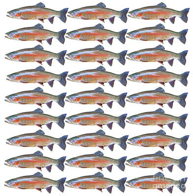 Venice Beach Bungalow - Trout - Repeating Pattern 1 by Humorous Quotes