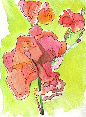 Railroad - Trumpet vine blossom by Maura Satchell