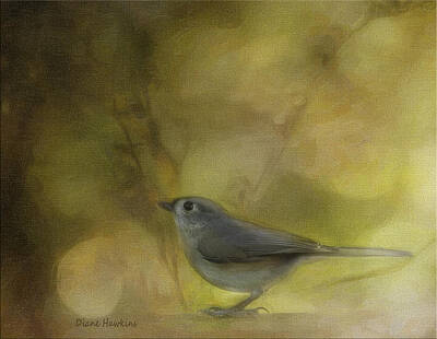Crazy Cartoon Creatures - Tufted Titmouse by Diane Hawkins