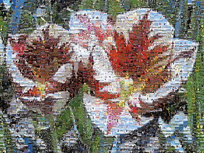 Planes And Aircraft Posters - Tulips in Springtime Photomosaic by Michelle Calkins