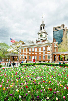 Cities Photos - Tulips of Independence by Greg Fortier