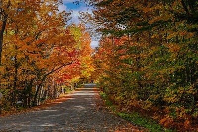 Best Sellers - Robert Bellomy Royalty-Free and Rights-Managed Images - Old Country Road in Vermont During Colorful Fall Foliage by Robert Bellomy