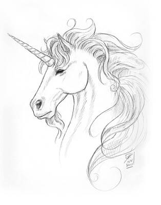 Best Sellers - Portraits Drawings - Unicorn Portrait by Brandy Woods