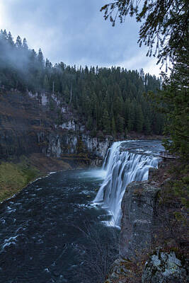 Colorful Abstract Animals - Upper Messa Falls on a Cloudy Day by Ryan Friesen