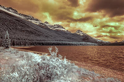 Vintage Porsche Royalty Free Images - Upper Waterfowl Lake in IR Royalty-Free Image by Joseph Yvon Cote