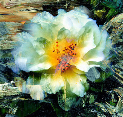 Abstract Flowers Mixed Media - Urban Beauty by Georgiana Romanovna