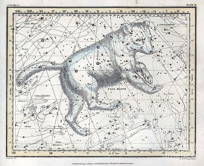 Mammals Photos - Ursa Major Constellation, 1822 by U.S. Naval Observatory Library