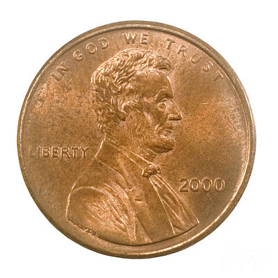 Winter Animals - US one penny coin one cent by Ilan Rosen