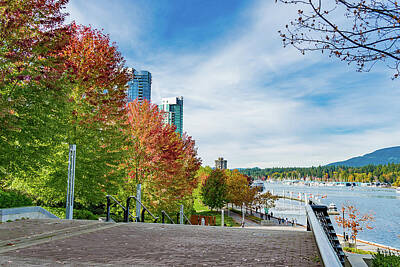 Black And White Rock And Roll Photographs - Vancouver - Fall at Coal harbour by David Lee