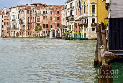 Fun Facts Royalty Free Images - Venice canal Royalty-Free Image by JL Images