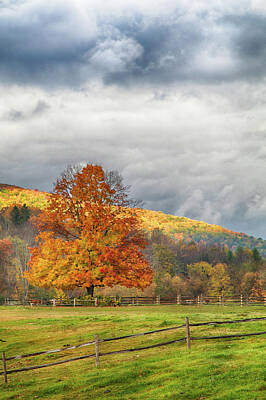 Winslow Homer - Vermont fall colors after the rain by Jeff Folger