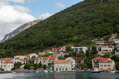Mother And Child Animals - view of Boko Kotor Bay by Elena Saulich