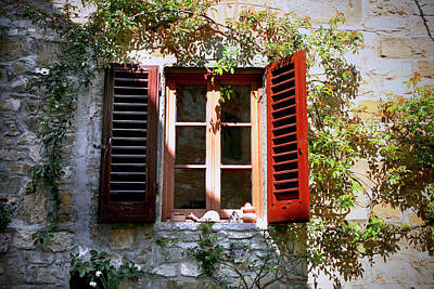 Lilies Royalty-Free and Rights-Managed Images - Village Window I Tuscany Italy by Lily Malor