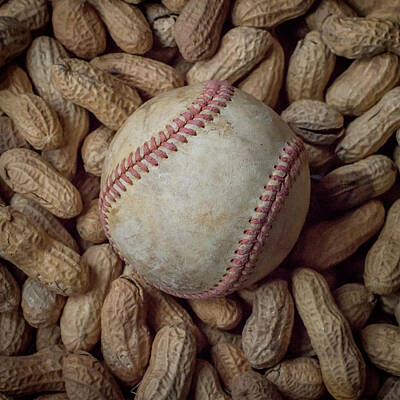 Baseball Photos - Vintage Baseball and Peanuts Square by Terry DeLuco