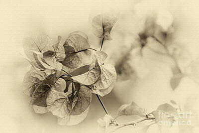 Floral Digital Art - Vintage Floral by Kaye Menner by Kaye Menner