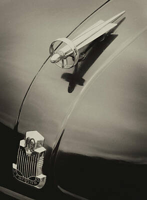 Door Locks And Handles Rights Managed Images - Vintage - Standard 10 Hood Ornament Royalty-Free Image by Philip Openshaw