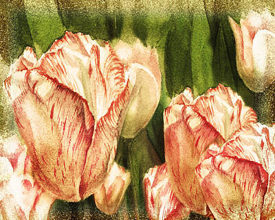 Tuscany Paintings Guido Borelli Rights Managed Images - Vintage Tulips Watercolor Art Royalty-Free Image by Irina Sztukowski