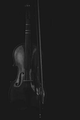 Music Royalty-Free and Rights-Managed Images - Violin Portrait Music 16 Black White by David Haskett II