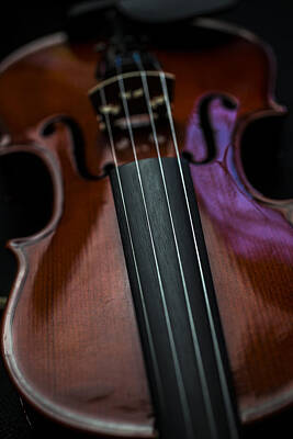 Music Photos - Violin Portrait Music 5 by David Haskett II