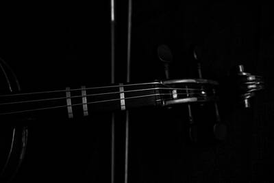 Music Photos - Violin Portrait Music 8 Black White by David Haskett II