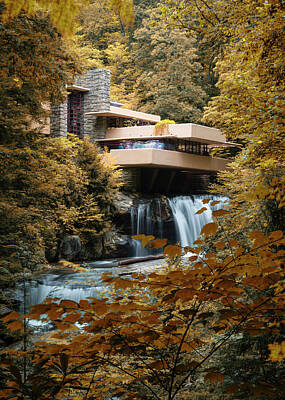 Mammals Photos - Visions of Fallingwater - #3 by Stephen Stookey