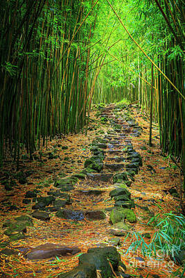 Landmarks Photos - Waimoku Bamboo Forest #2 by Inge Johnsson